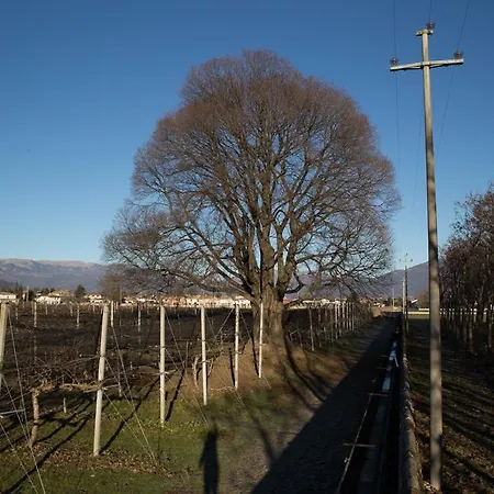Al Bagolaro Crocetta del Montello