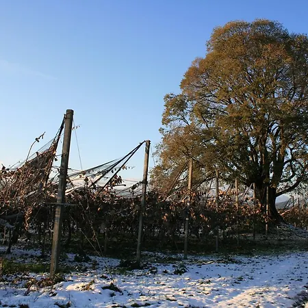 Bed & Breakfast Al Bagolaro