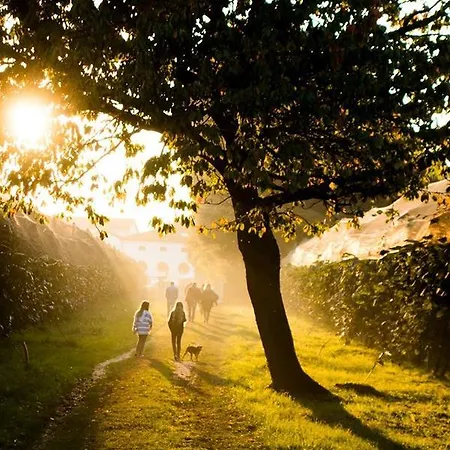 Bed & Breakfast Al Bagolaro 3*