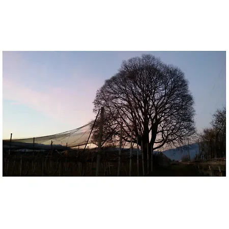 Al Bagolaro Bed & Breakfast