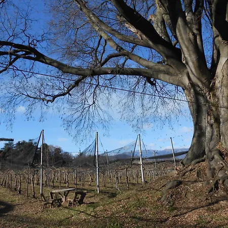 Al Bagolaro Crocetta del Montello