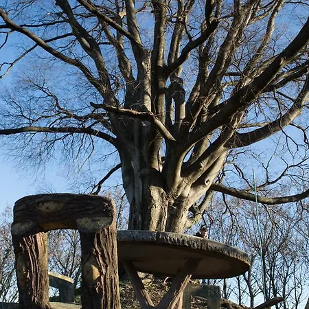 Al Bagolaro Bed & Breakfast Crocetta del Montello