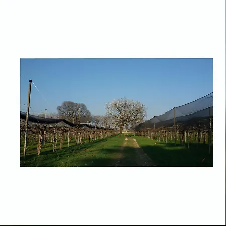 Al Bagolaro Bed & Breakfast