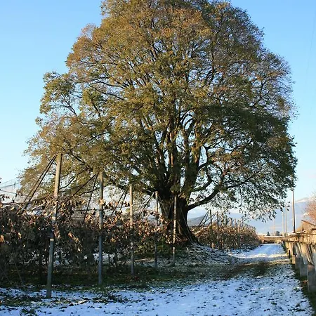 Al Bagolaro Bed & Breakfast 3*