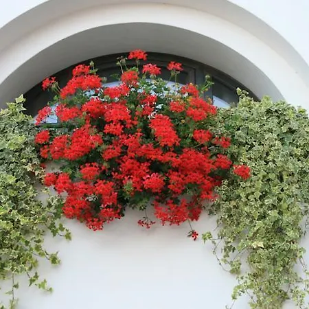 Al Bagolaro Bed & Breakfast *