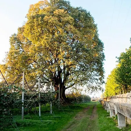 Frühstückspension Al Bagolaro