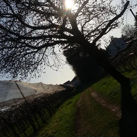 Al Bagolaro 3* Crocetta del Montello